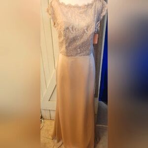 Jim Hjelm Champagne Shimmer Dress